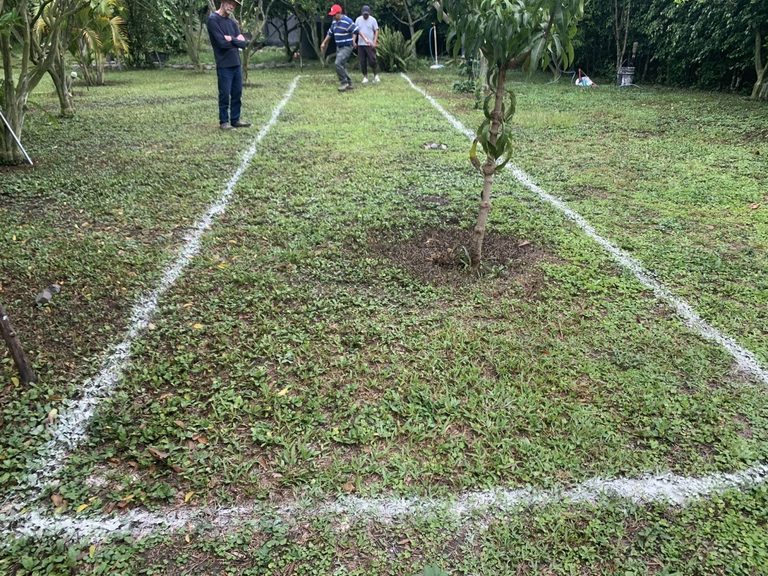 The lap pool site marked out in white on the lawn before excavation